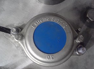 Stainless steel 316 2-bolt flange bearing